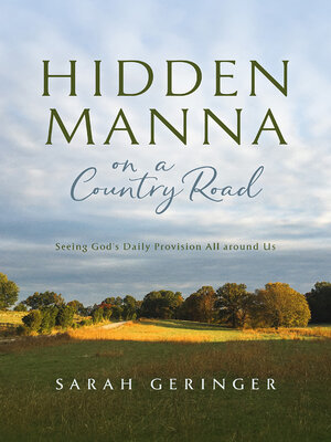 cover image of Hidden Manna on a Country Road